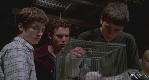 SHF-TheFaculty-0391.jpg