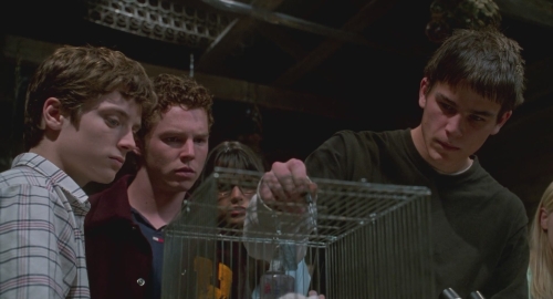 SHF-TheFaculty-0395.jpg