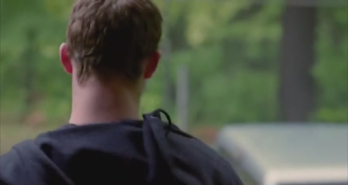 SHF-Tangled-0100.jpg