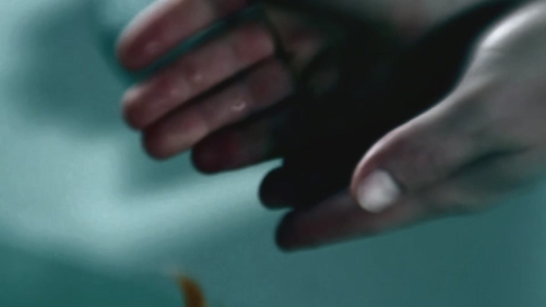 SHF-CSIMiami-0024.jpg