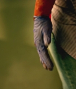 SHF-CSIMiami-0354.jpg