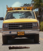 SFH-Dexter502-0007.jpg