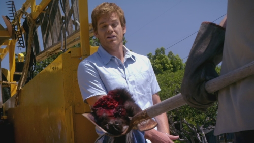 SFH-Dexter503-0130.jpg