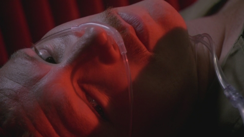 SFH-Dexter503-0181.jpg
