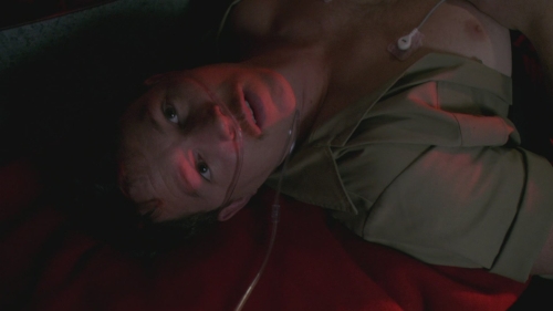 SFH-Dexter503-0185.jpg