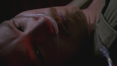 SFH-Dexter503-0193.jpg