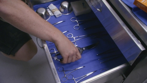 SFH-Dexter503-0252.jpg