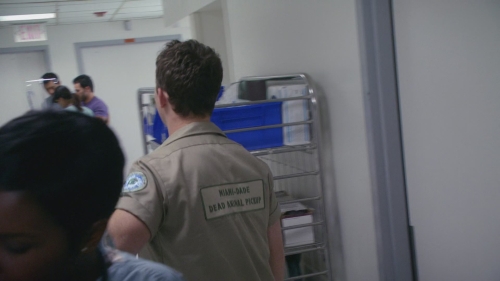 SFH-Dexter503-0270.jpg