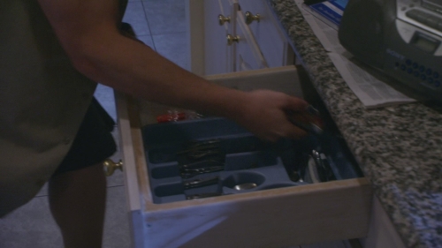 SFH-Dexter503-0302.jpg