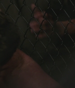 SFH-CriminalMind-0525.jpg
