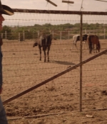 SFH-Longmire-0028.jpg