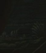 SHF-AnimalKingdom101-0334.jpg