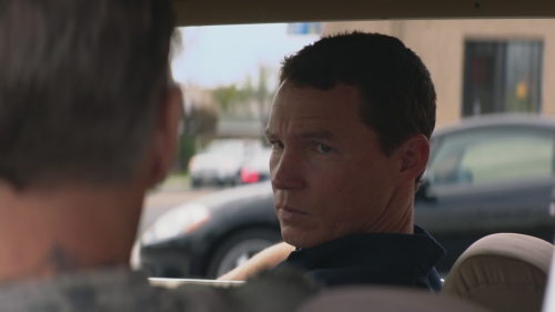 SHF-AnimalKingdom107-0101.jpg