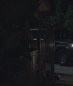 SHF-AnimalKingdom212-0081.jpg