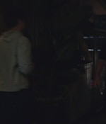SHF-AnimalKingdom212-0082.jpg