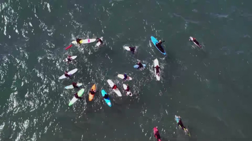 SHF-AnimalKingdom301-0515.jpg