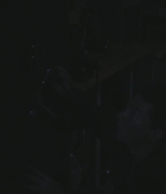 SHF-AnimalKingdom501-0294.jpg
