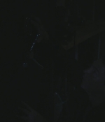 SHF-AnimalKingdom501-0295.jpg