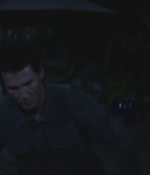 SHF-AnimalKingdom501-0332.jpg