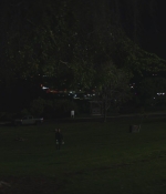 SHF-AnimalKingdom502-0256.jpg