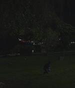 SHF-AnimalKingdom502-0275.jpg