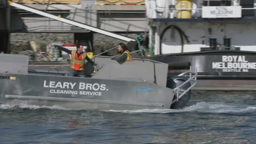 SHF-AnimalKingdom513-0133.jpg