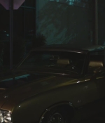 SHF-AnimalKingdom601-0221.jpg