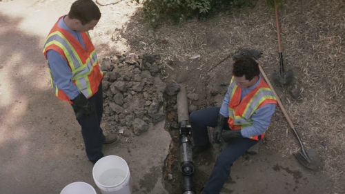SHF-AnimalKingdom606-0261.jpg