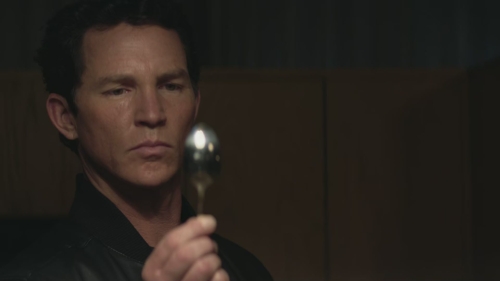 SHF-AnimalKingdom607-0477.jpg
