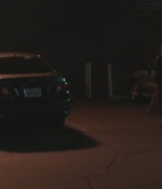 SHF-AnimalKingdom607-0402.jpg