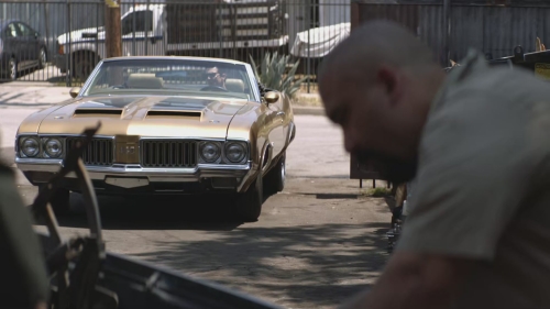 SHF-AnimalKingdom608-0139.jpg