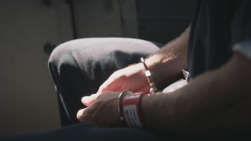SHF-AnimalKingdom613-0002.jpg