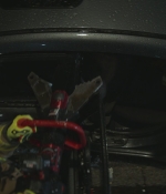 SHF-FireCountry412-0766.jpg